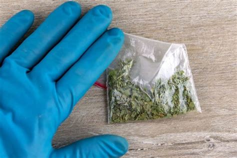 how to spot fake weed bags|what is a false weed.